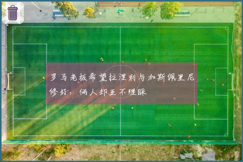 罗马老板希望拉涅利与加斯佩里尼修好，俩人却互不理睬