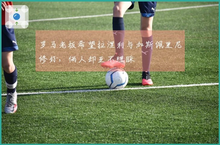罗马老板希望拉涅利与加斯佩里尼修好，俩人却互不理睬