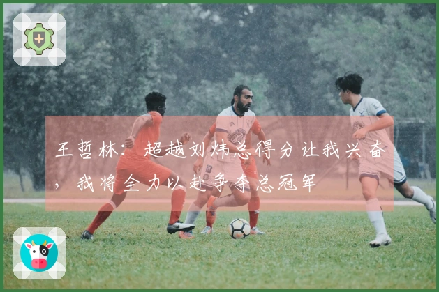 王哲林：超越刘炜总得分让我兴奋，我将全力以赴争夺总冠军